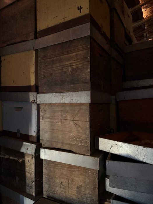 Material Apicultura