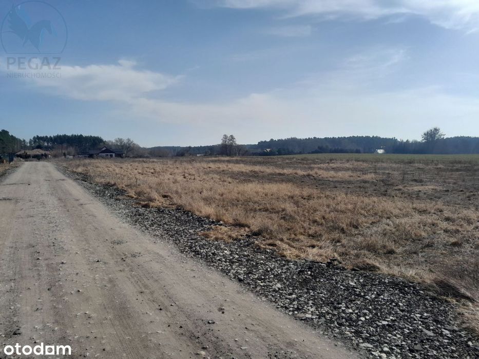 Urokliwe działki budowlane w Kuźniku pod lasem. - Widok 5