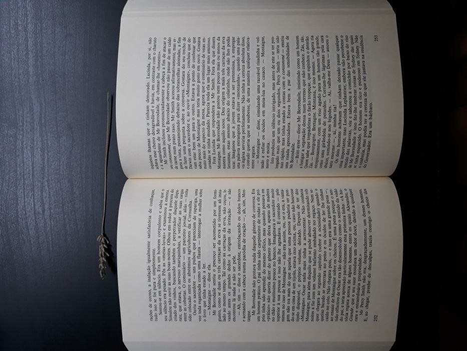 Livro: Óscar e Lucinda - Autor Peter Carey