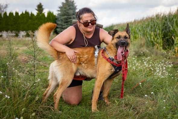 Przyjazny łagodny Logan szuka domku