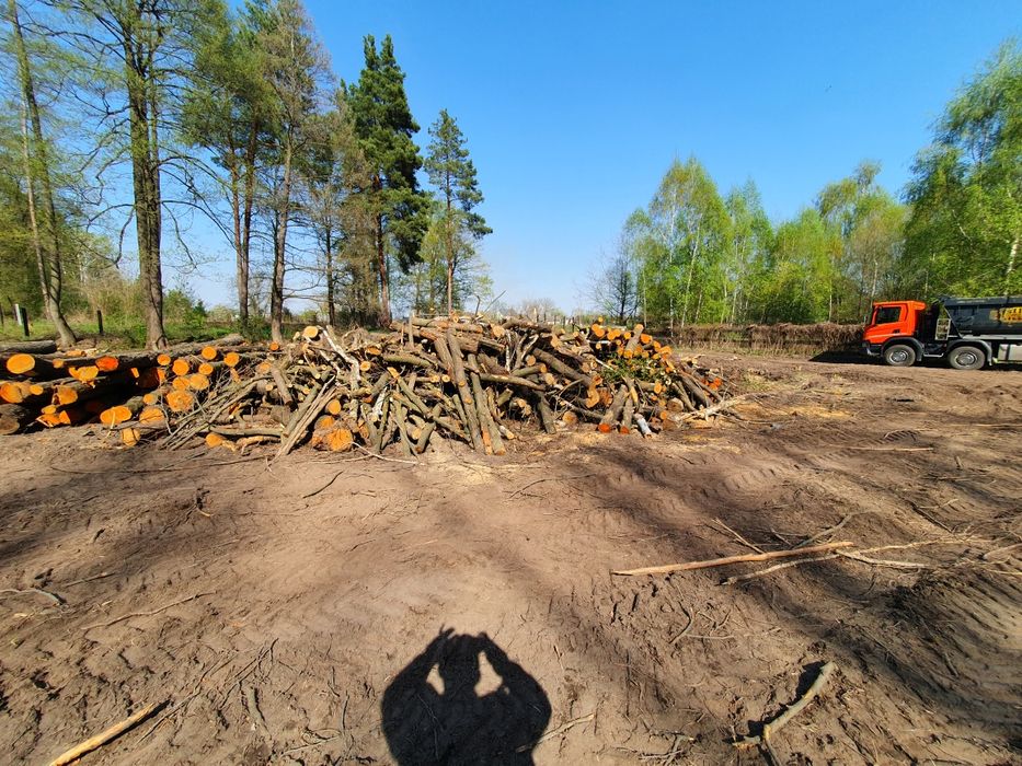 Розчистка території,знесення, розчистка від дерев,корчування,планування*пісок*щебень*грунт.