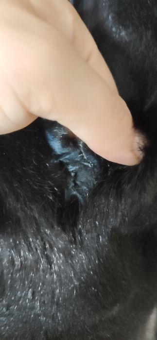 Натуральна шуба / пальто