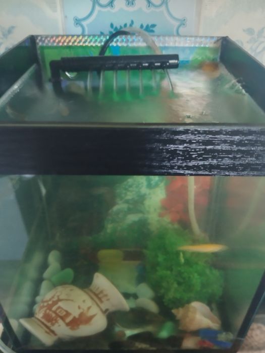 Продам аквариум на 5ть литров