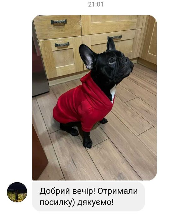 Одежда французский бульдог, мопс 300грив
