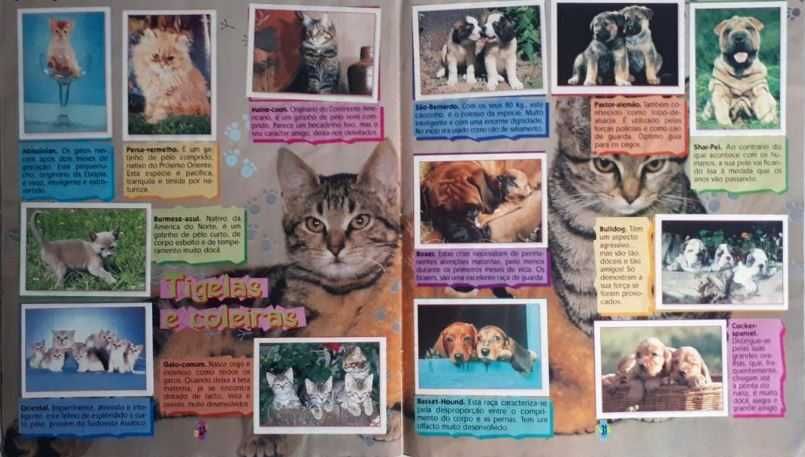 Caderneta de Cromos Animais Bebés [Completa]
