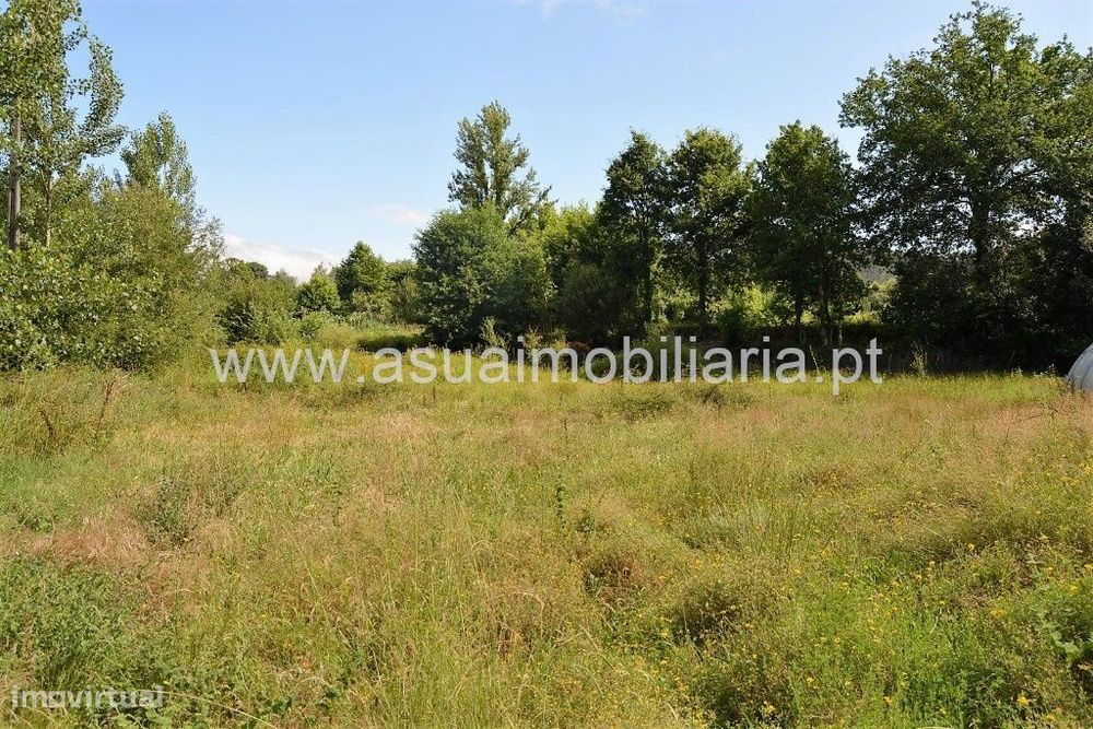 Terreno Agrícola - Sequeiros