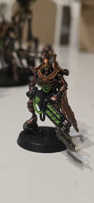 Necron warden wh40k 2