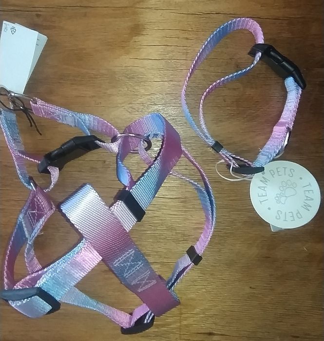 Шлея, нашийник, повідець нові