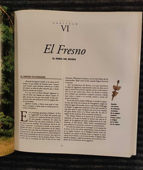 Livro La Magia de los Árboles (Novo preço)