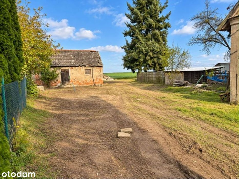 Dom – Rejowiec, powiat wągrowiecki - Widok 4