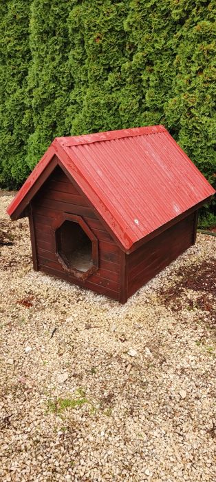 Buda dla dużego psa