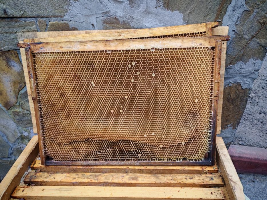 Рамки для улика Дадан 300, рута 230, магазин 145