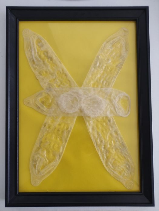 Sztuka współczesna Słoneczna Rozkosz