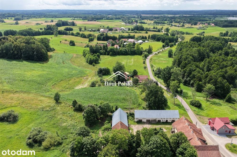 Działka w Puszczy Boreckiej - Mazury - Widok 3