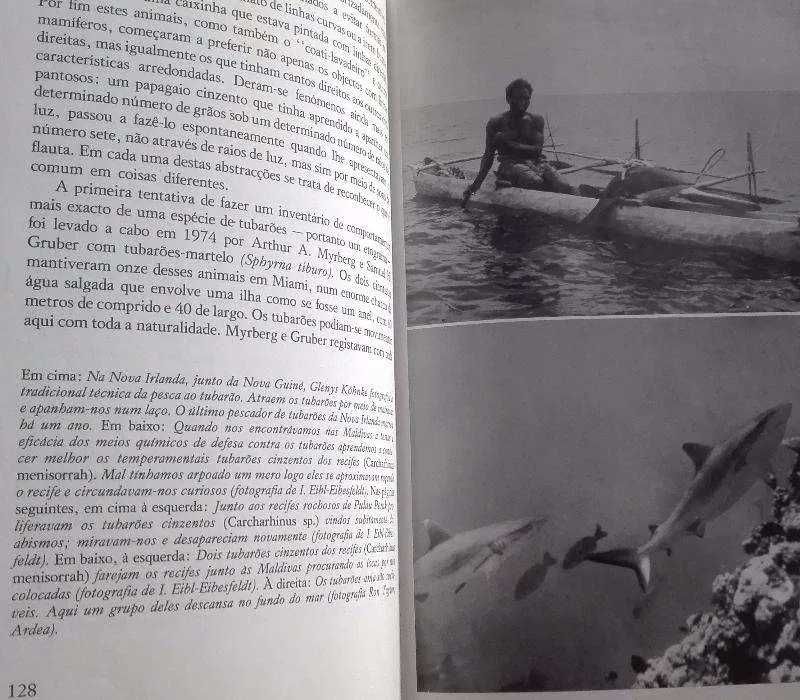 Diversos Romances Acção e Aventura