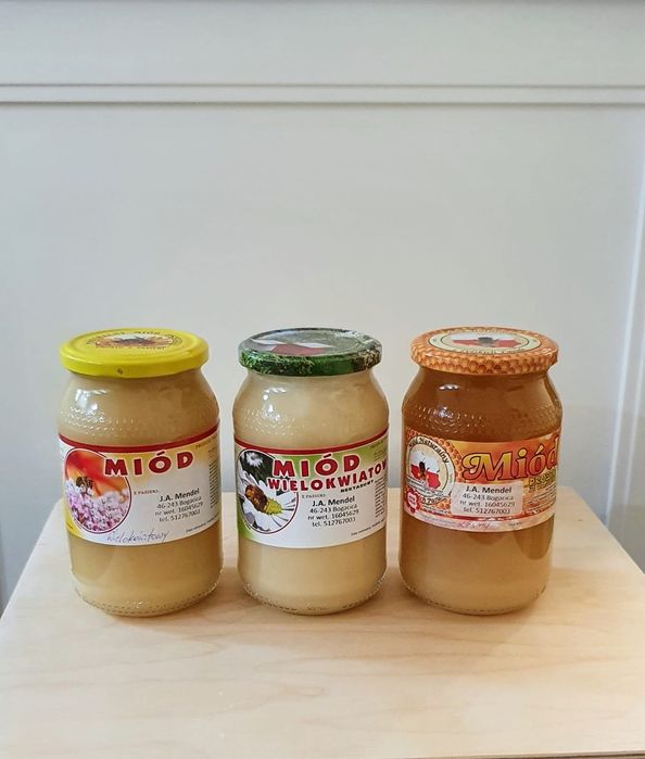 Miód  wielokwiatowy,nawłociowy