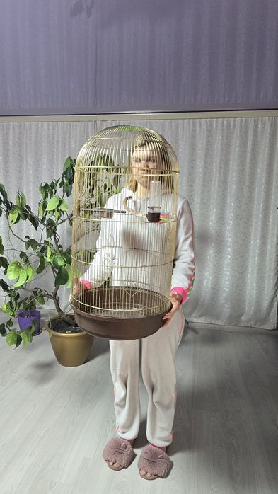 Велика клітка для тварин