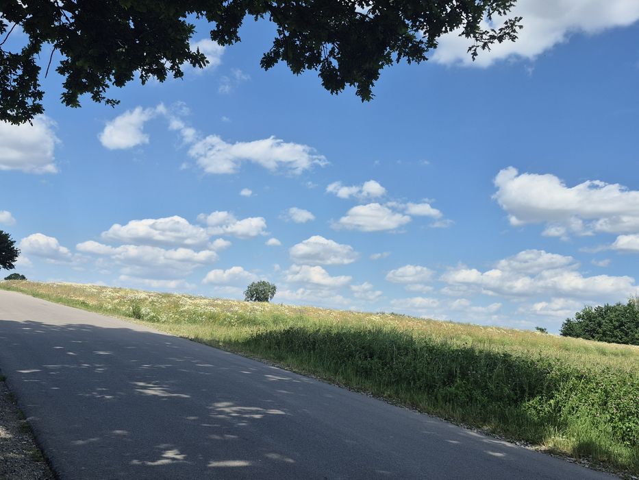 Działka 0,93ha na sprzedaż