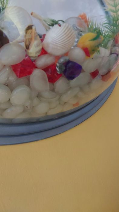 Duże akwarium na ścianę