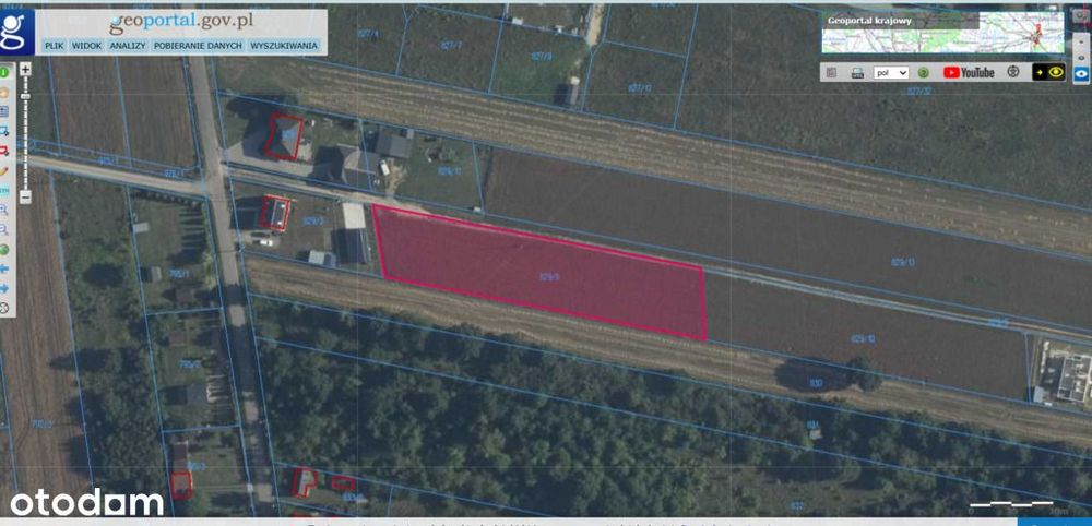 3002 m² natury i spokoju w Gręzowie