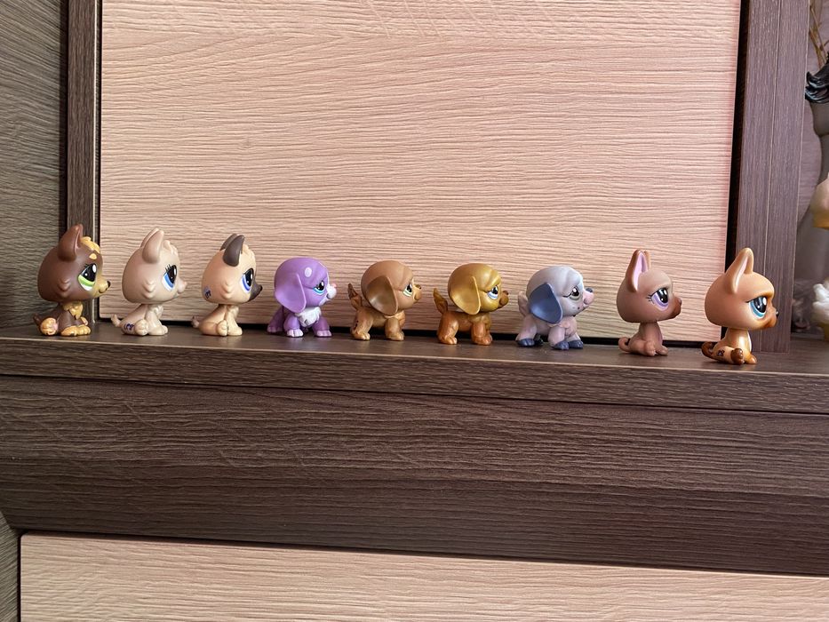 LPS Littlest pet shop psy zestaw