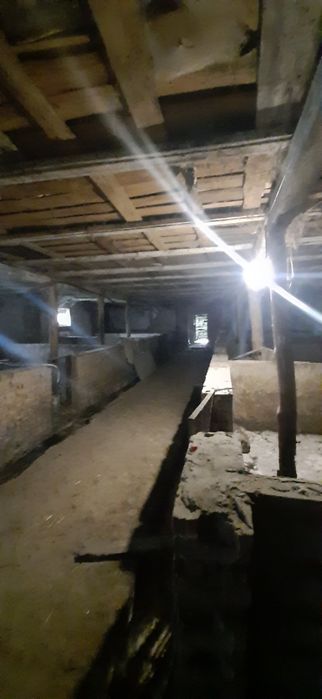 Продам ферму,корівник