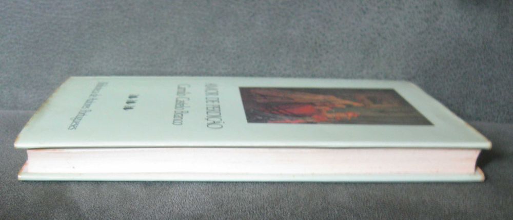 Amor de Perdição de Camilo Castelo Branco