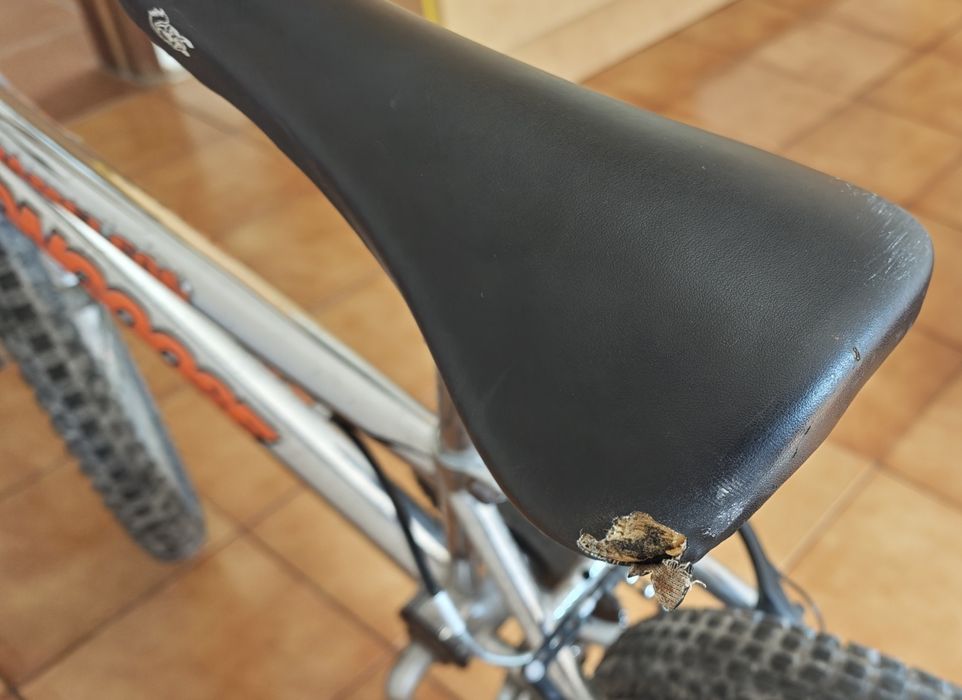BMX Mongoose Chameleon 1998