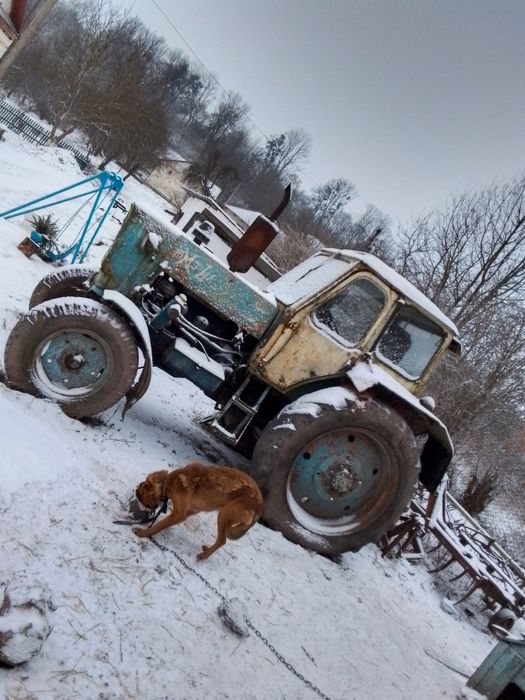 Продам трактор ЮМЗ