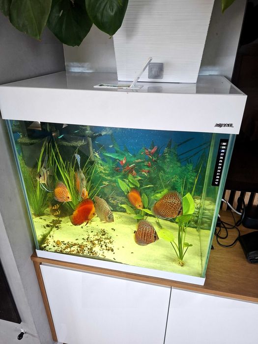 Akwarium opti set 130
