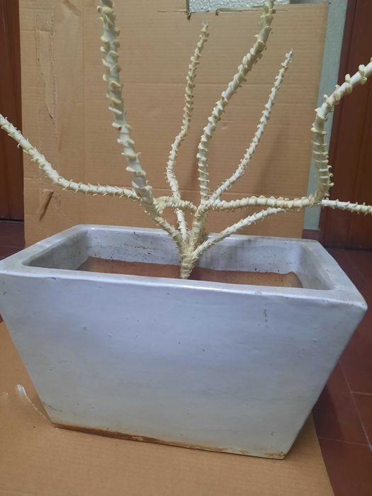 Vaso / floreira em grês