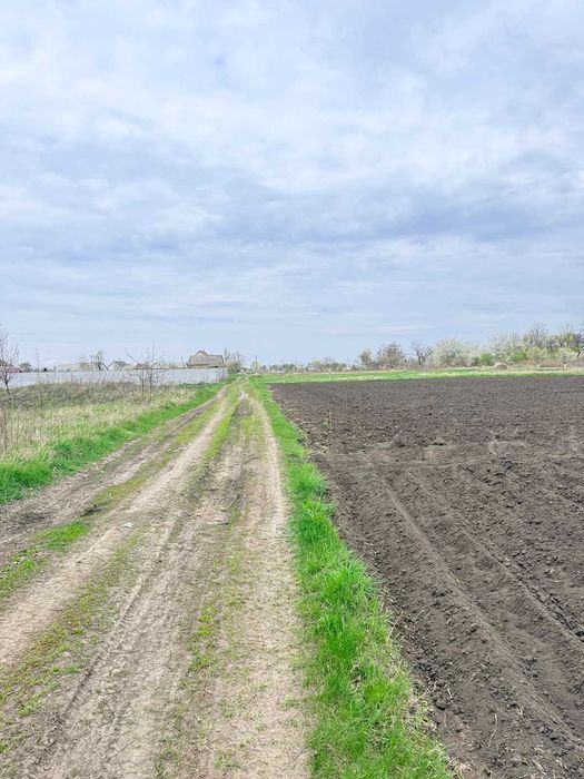 Продаж земельної ділянки під житлову забудову, смт. Турбів, 30 сот