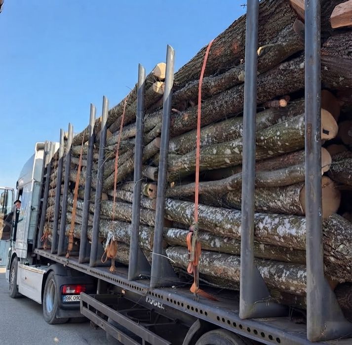 Продам дрова оптом та в роздріб: швидка доставка, мінімальна ціна, якісна укладка без передплати. 7/12/30 м3