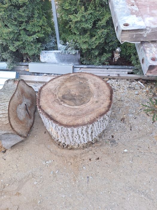 Krążki drewniane orzech