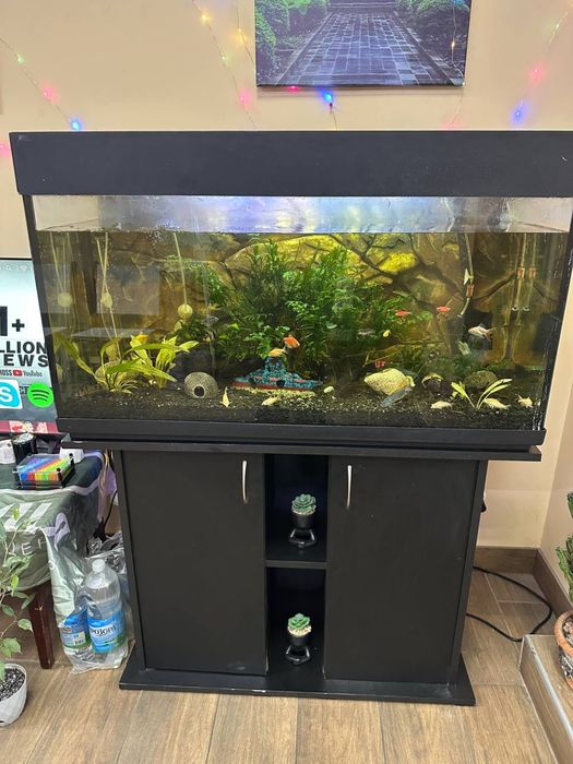 Продам аквариум (комплектом все как на фото)