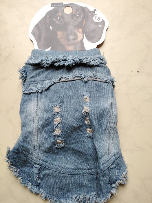 Одяг для собак та котів