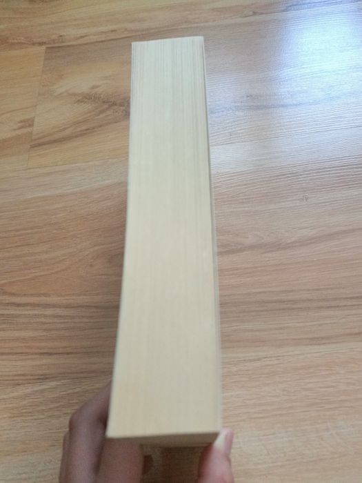 Okup - młodzieżowa książka fantazy- McKenzie