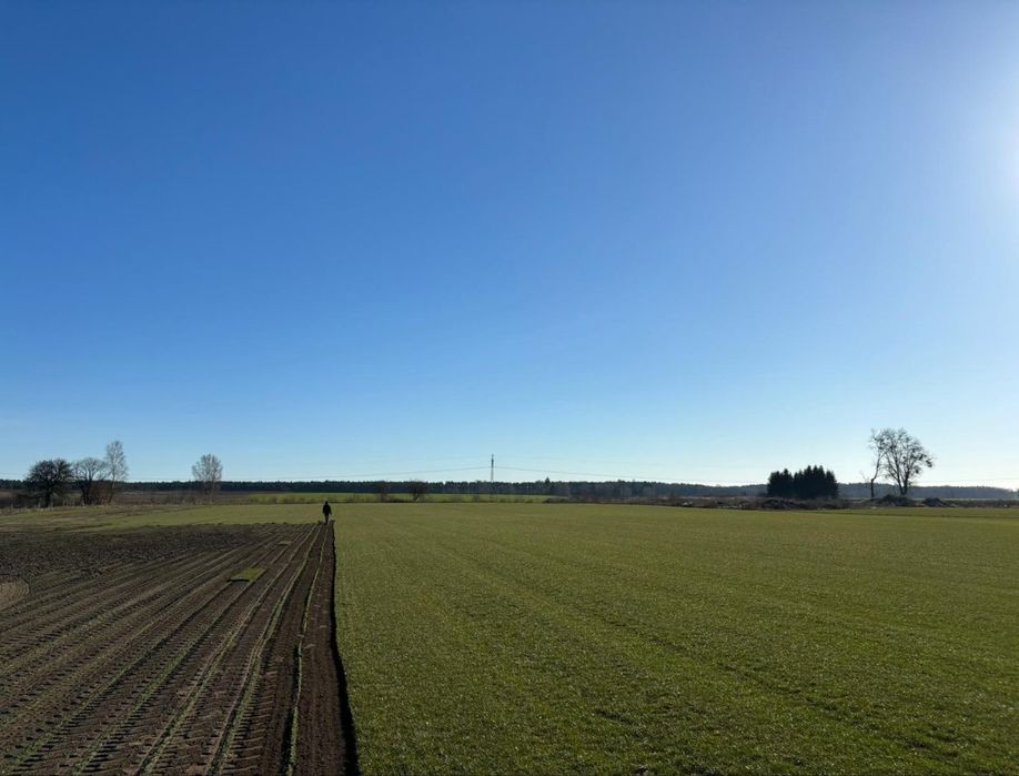 40m² Trawa z rolki – Gęsta, Zielona, Bez Chwastów | TRANSPORT