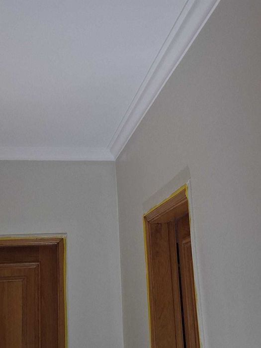 Pintor Profissional – 20 Anos de Experiência