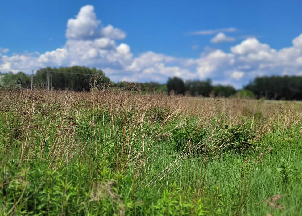 SPRZEDAM działkę budowlaną BLISKO LASU I SKM - Widok 3