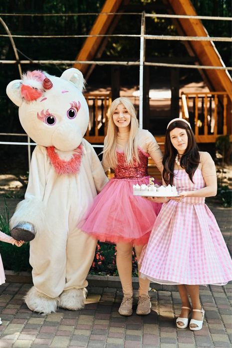 Аніматори на дитячі свята | Герої, квести, ростові ляльки