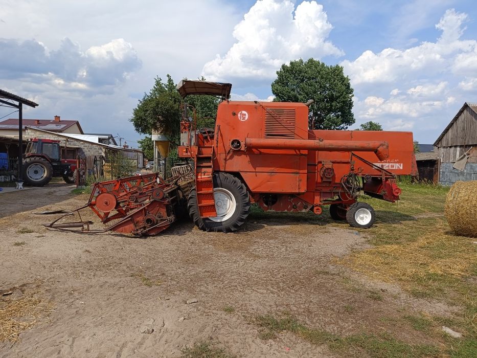 sprzedam bizon super