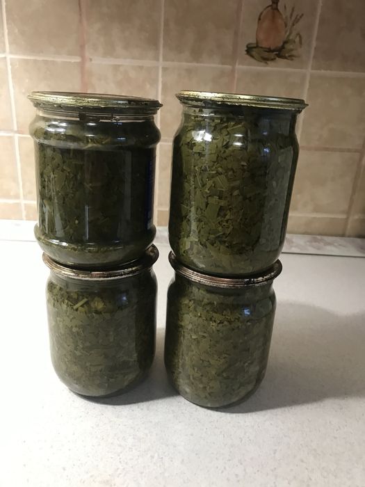 Щавель домашній, консервований