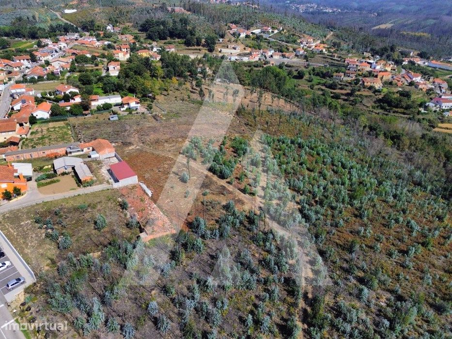 Terreno na Branca - Albergaria-a-Velha — Branca, Aveiro