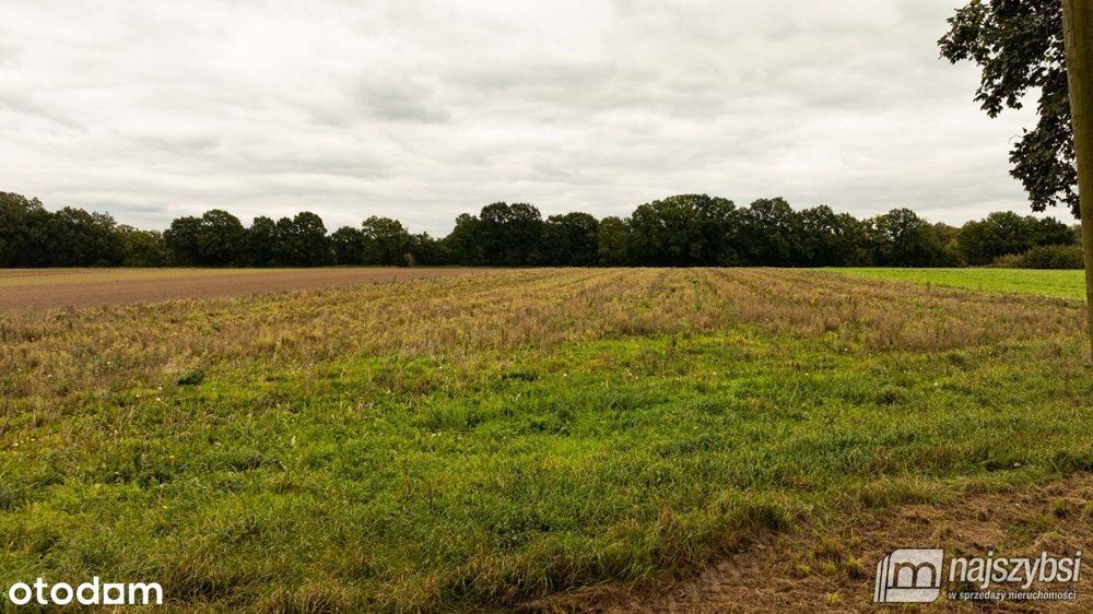 Maszewo-Wisławie - działka rolno-budowlana 748m2