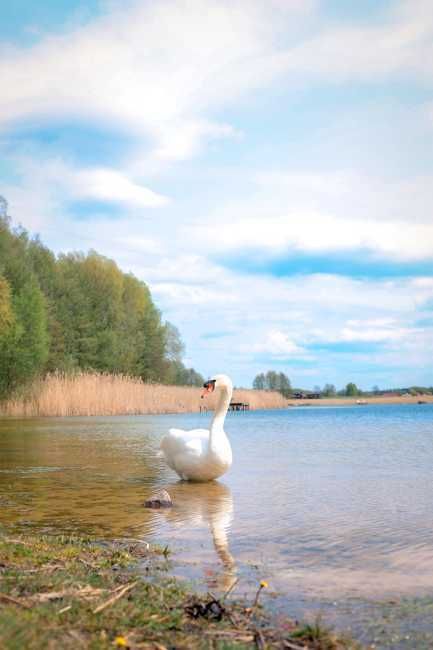 Ośrodek Wypoczynkowy, Pole Namiotowe ,Camping 106  w Wąsoszu k/Żnina