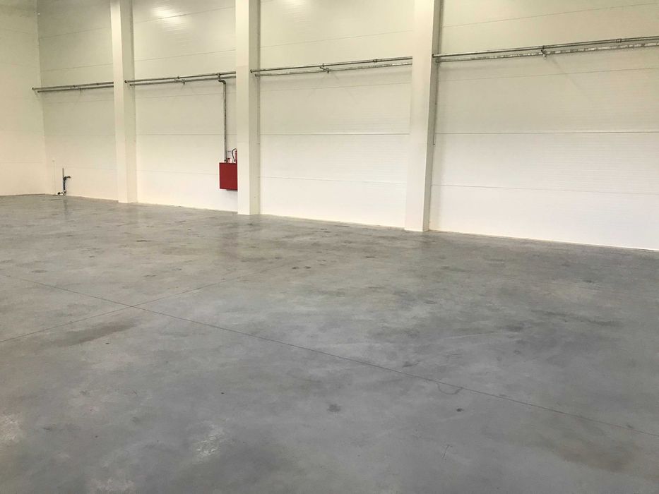 Hala do wynajęcia 250 - 320m2