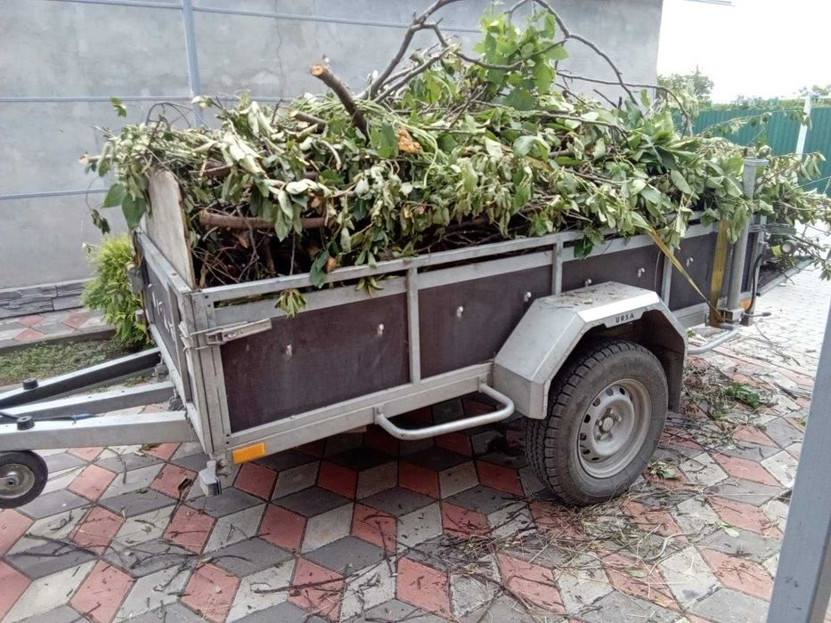 Покос травы. Уборка запущенных участков от поросли кустов и деревьев
