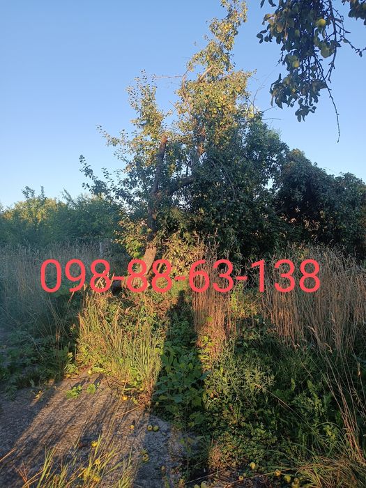 Зрізання дерев(до 7-ми метрів висотою)кущів прибирання території