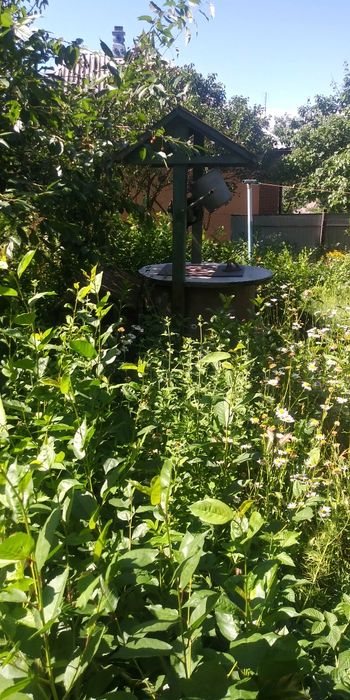 Будинок продаю в місті(здам)